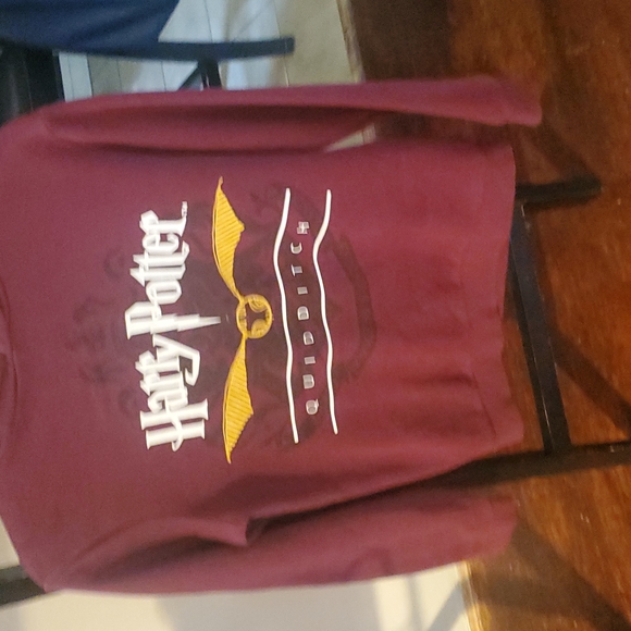 Harry Potter Hooded Sweatshirt - Picture 1 of 2